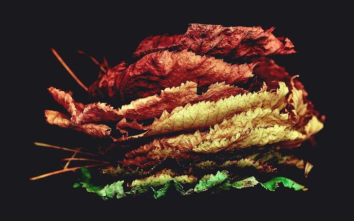 行业标准 模具精度 解读与应用 示意图