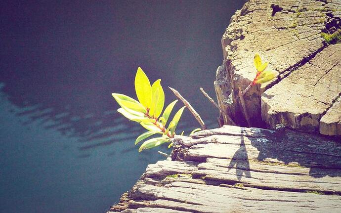 工厂实战 质量检验 操作手册 【行业标准版】效果对比