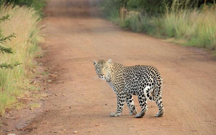行业标准 材料性能 解读与应用 【行业标准版】示意图