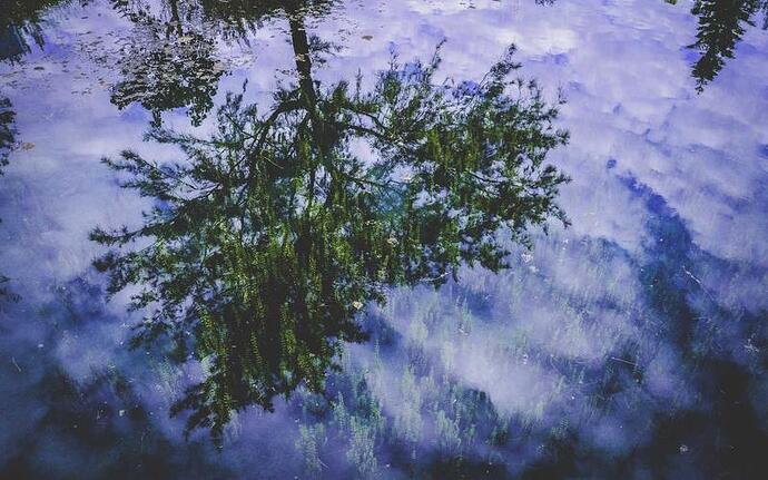 2026最新 模具设计流程 完全指南 效果对比