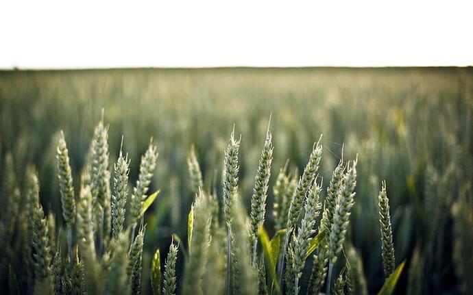 工厂实战 工艺优化 操作手册 操作现场