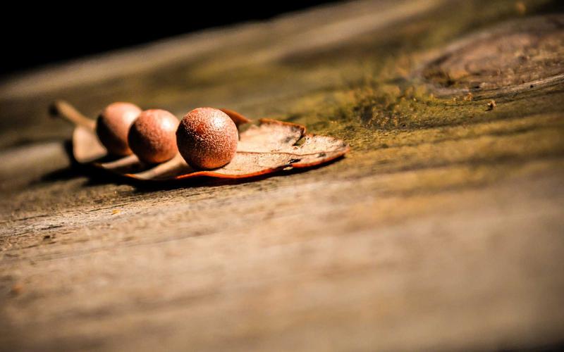 2026最新 模具钢材选型 完全指南 操作现场