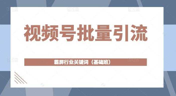 视频号批量引流，霸屏行业关键词全面系统讲解视频号玩法【无水印】