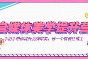 自媒体-美学提升营 手把手带你提升-品牌审美，做一个有调性博主
