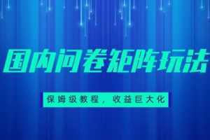 保姆级教程,国内问卷矩阵玩法,轻松赚收益