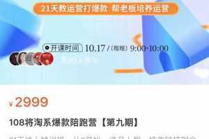 108将淘系爆款陪跑营【第九期】,从0开始,手把手教你链接起飞,爆款不断,价值2999元