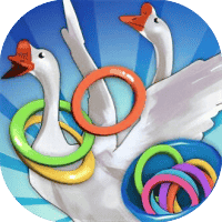 搞钱高手-免广告