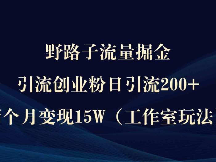 野路子流量掘金，引流创业粉日引流200+，两个月变现15W）