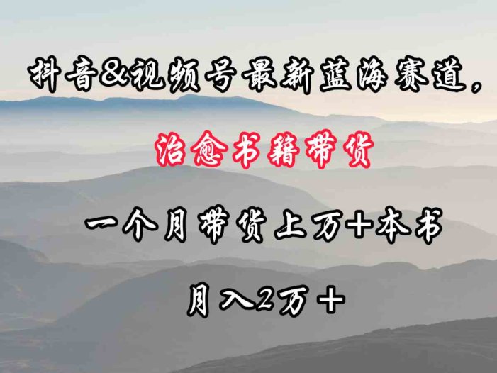 抖音&视频号最新蓝海赛道，治愈书籍带货，一个月带货上万+本书，月入2万＋